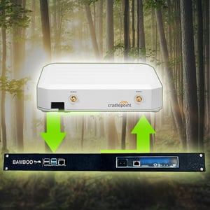 ANT-SnR-Sub-IMG
