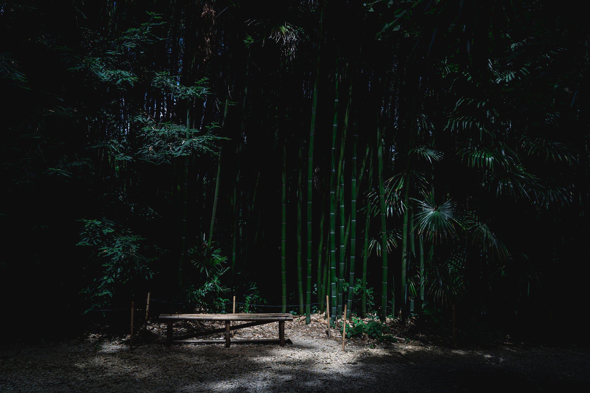 marine-sintes-SqFFW1zV6Oc-unsplash